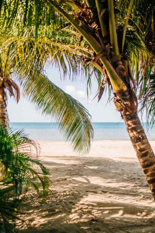 2023 12 06 Paradise Beach Restaurant Web Ready 51