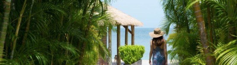 03 Paradise Beach Nevis Walkway 89 A9727 1x 541x288