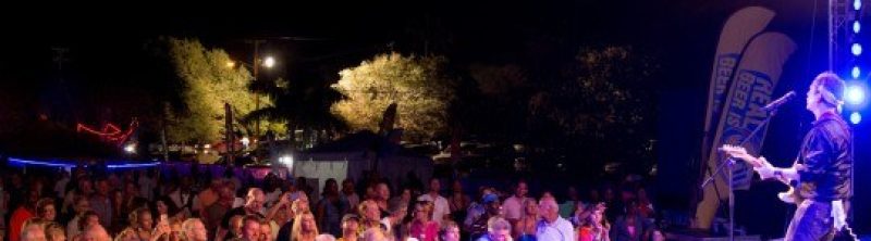 5 Nevis Blues Ian Siegal Band 2 541x288