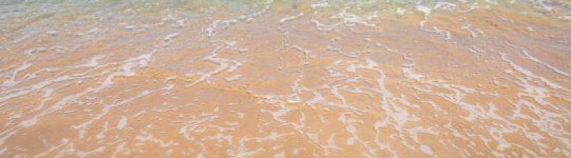 Beach 89 A0960 541x288